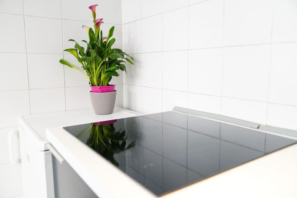 Babuino Terrace Apartment โรม ภายนอก รูปภาพ